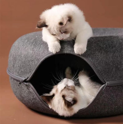 Tunnels pour chat – Jeux et cachettes premium Chat Cocoon