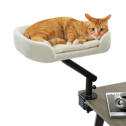 hamac bureau chat chat en observation