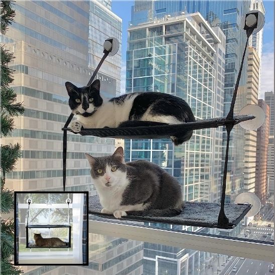hamac double chat fenêtre chat chaque niveau