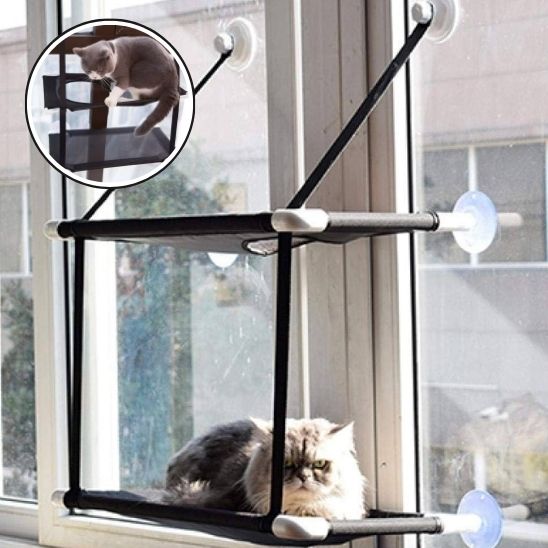 hamac double chat fenêtre chat detendu premier niveau
