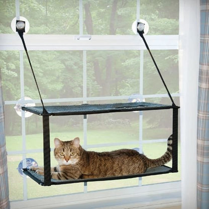 hamac double chat fenêtre chat premier niveau observe