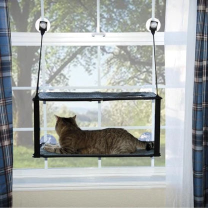 hamac double chat fenêtre chat regarde dehors premier niveau