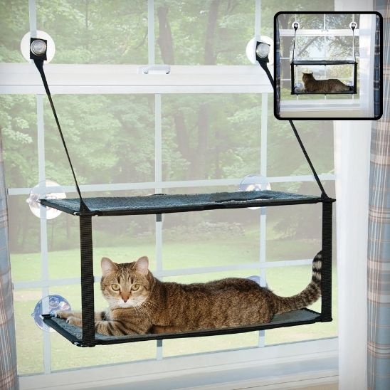 hamac double chat fenêtre chat repos premier niveau