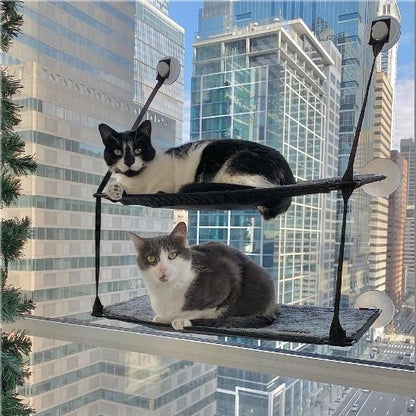 hamac double chat fenêtre  un chat par niveau