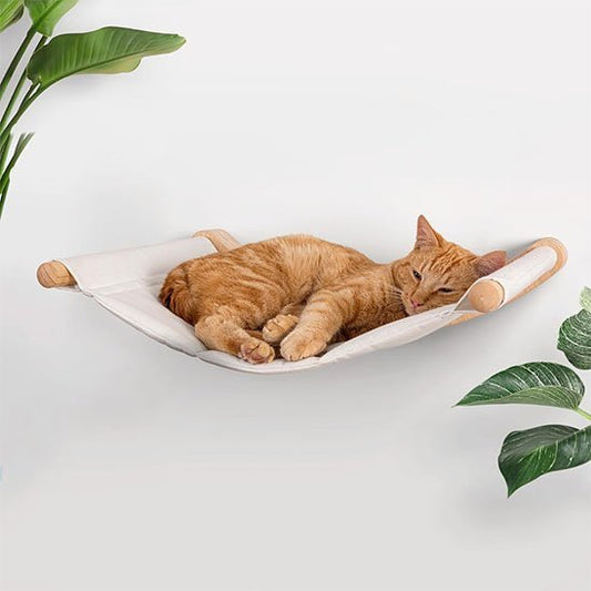 hamac mural pour chat chat confort somnolent