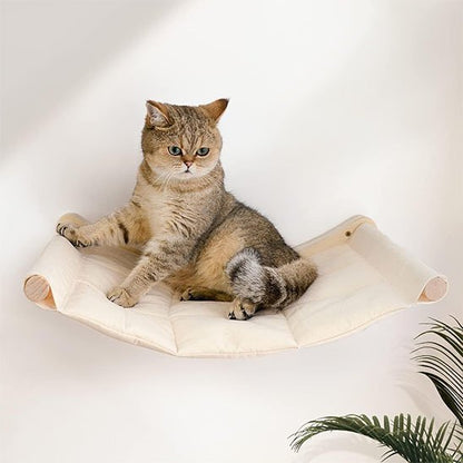 hamac mural pour chat chat observe assis