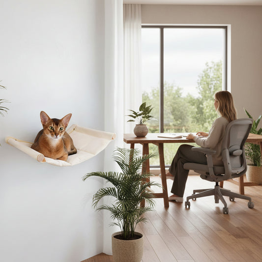 hamac mural pour chat chat relax