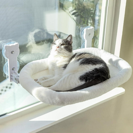 hamac pour chat chat detente