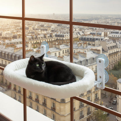 hamac pour chat chat en observation