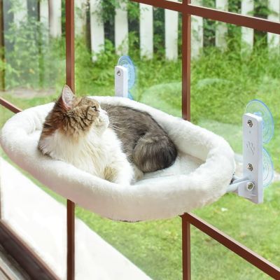 hamac pour chat chat observe exterieur