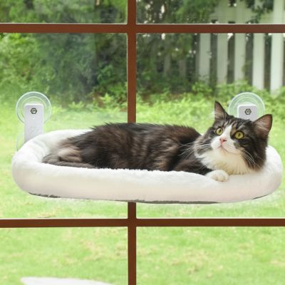 hamac pour chat chat observe interieur