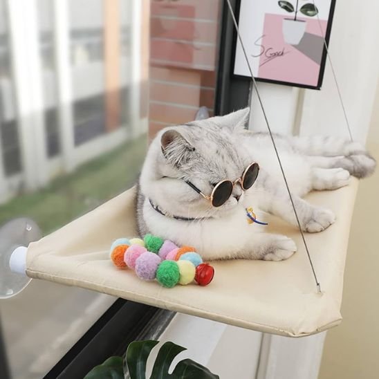 hamac pour chat fenêtre chat avec lunette jouet