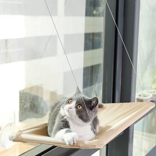 hamac pour chat fenêtre chat confort vue exterieur