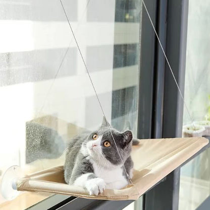 hamac pour chat fenêtre chat confort vue exterieur