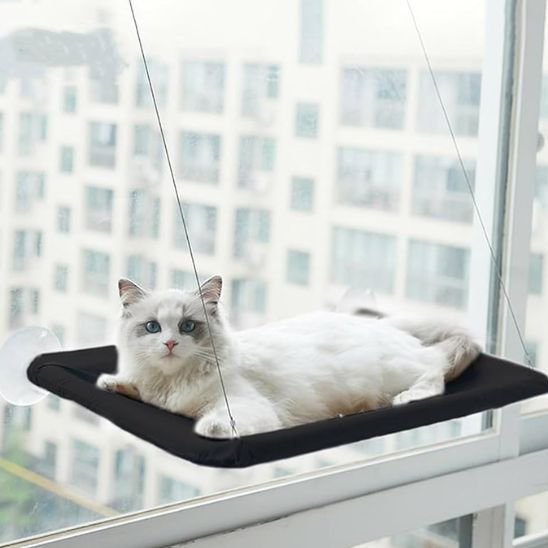 hamac pour chat fenêtre chat observation interieur