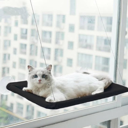 hamac pour chat fenêtre chat observation interieur