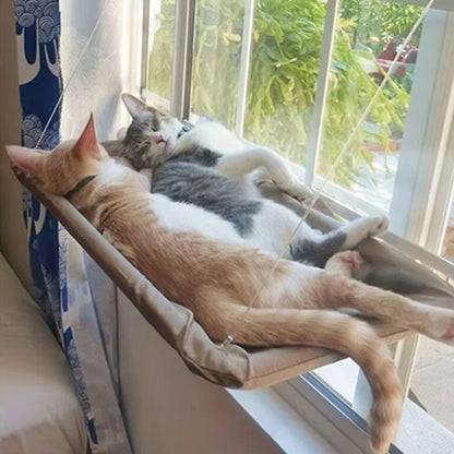hamac pour chat fenêtre deux chats sieste