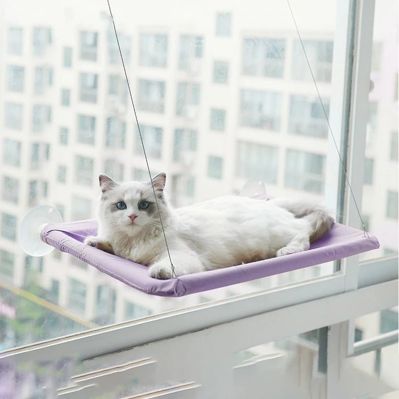 hamac pour chat fenêtre violet chat detente