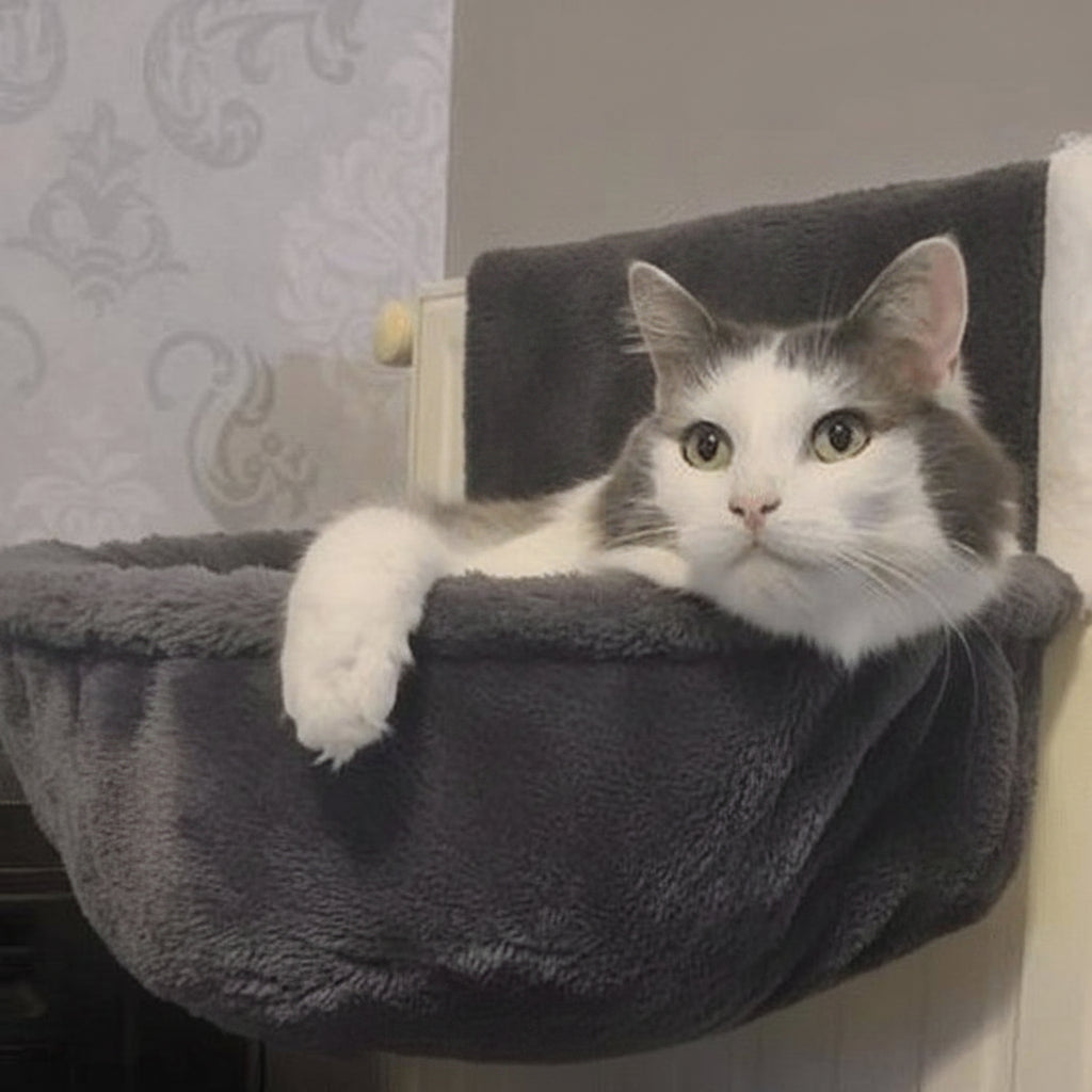 hamac radiateur pour chat chat allonge patte visible