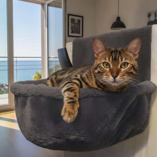 hamac radiateur pour chat chat allonge patte visible