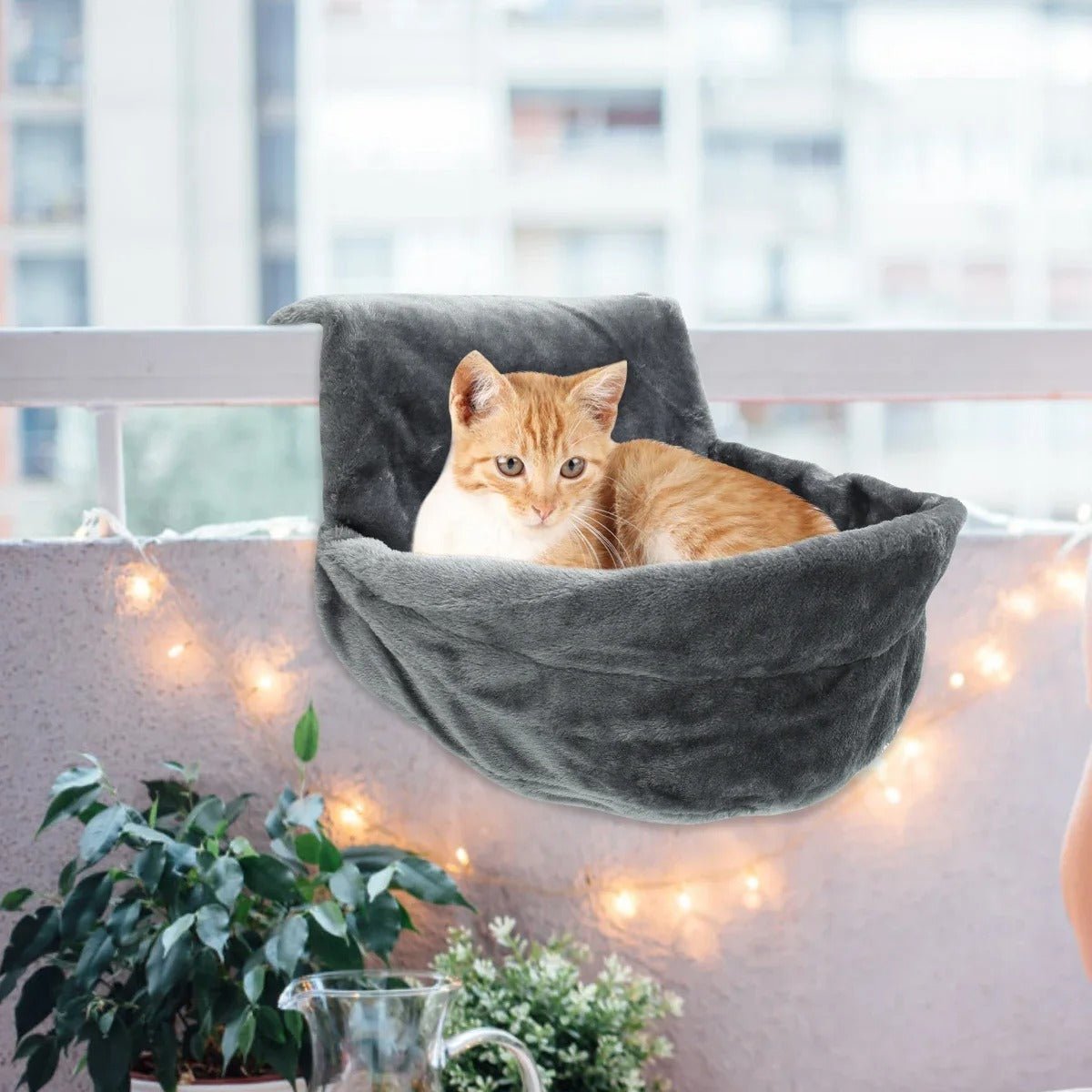 hamac radiateur pour chat chat installe pres fenetre