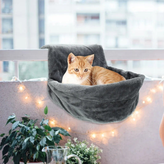 hamac radiateur pour chat chat installe pres fenetre