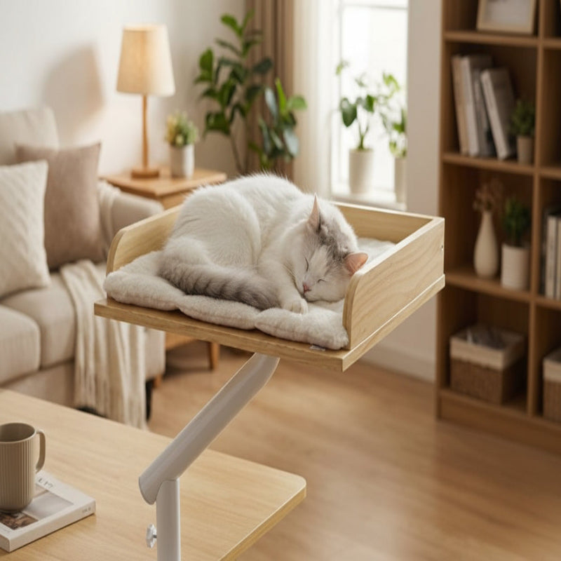 lit de bureau chat bois naturel chat blanc et gris coussin blanc
