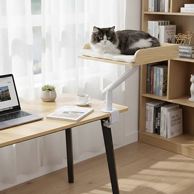 lit de bureau chat bois naturel chat confort pres fenetre