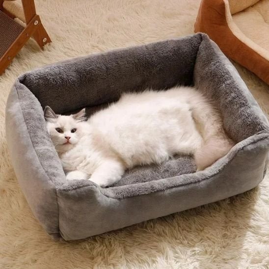 lit pour chat chat allonge