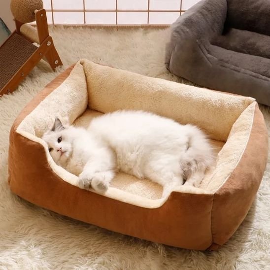lit pour chat chat couche interieur