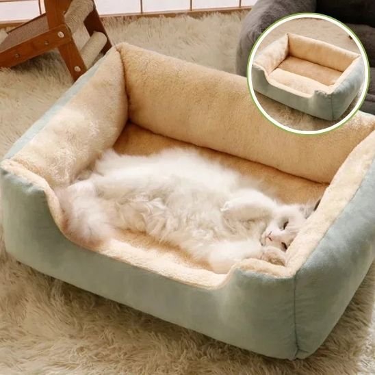 lit pour chat chat detente