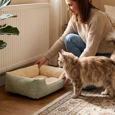 lit pour chat chat pret a sinstaller