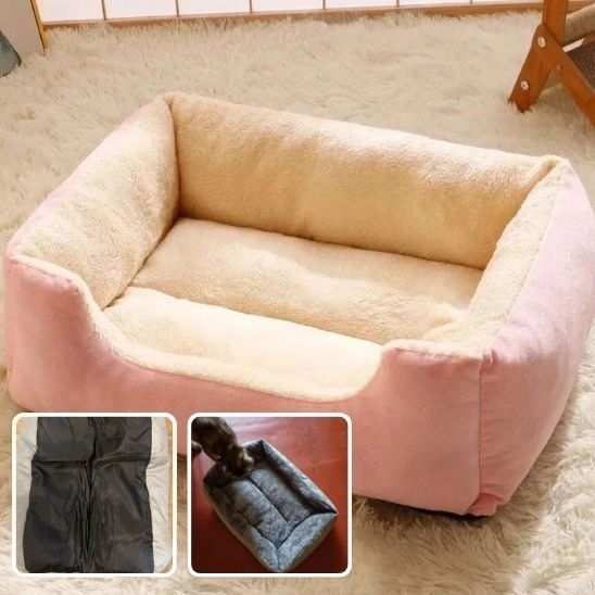 lit pour chat design rose bicolore