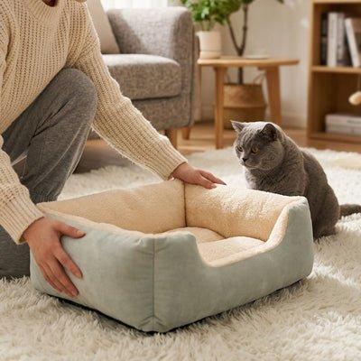 lit pour chat maitre place lit chat attend