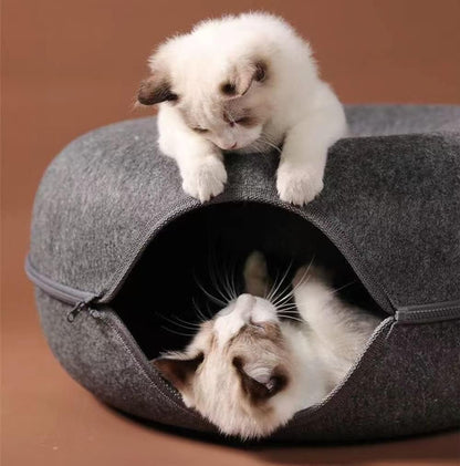 lit tunnel chat rond chat interieur et dessus