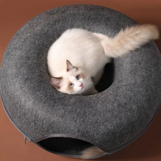 lit tunnel chat rond gris fonce avec chat dessus