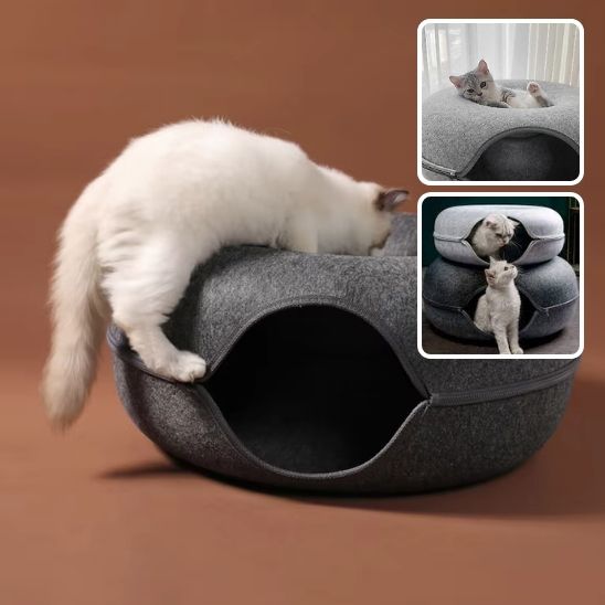 lit tunnel chat rond gris fonce chat jouant dessus