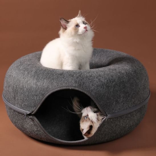 lit tunnel chat rond large gris fonce avec chat interieur et dessus 
