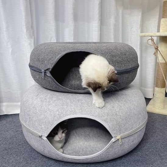 lit tunnel chat rond superposer deux couleurs deux grandeurs