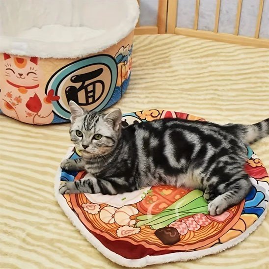 panier maison pour chat couvercle amovide chat allonge